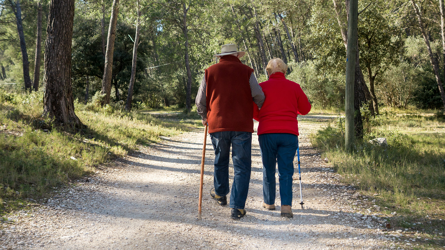 deux séniors marchent en forêt