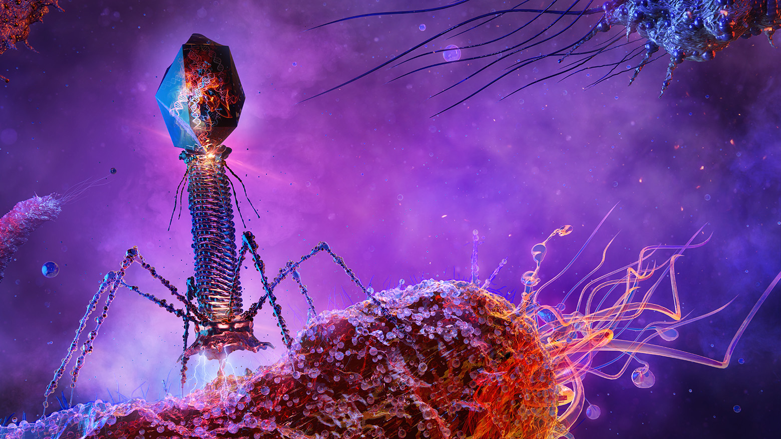 Phage