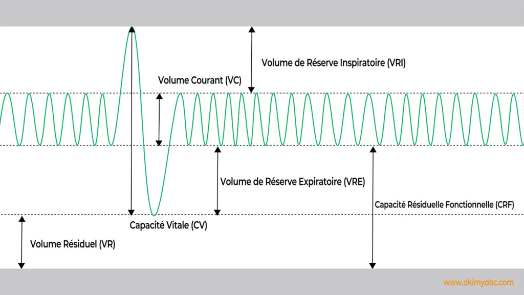 Schéma des capacités pulmonaires incluant volume courant, volume de réserve inspiratoire, et capacité résiduelle fonctionnelle.