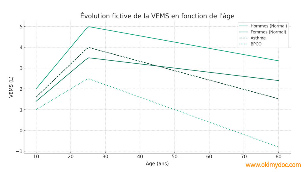 Graphique montrant l'évolution comparée de la VEMS pour hommes, femmes, patients asthmatiques et patients BPCO en fonction de l'âge.