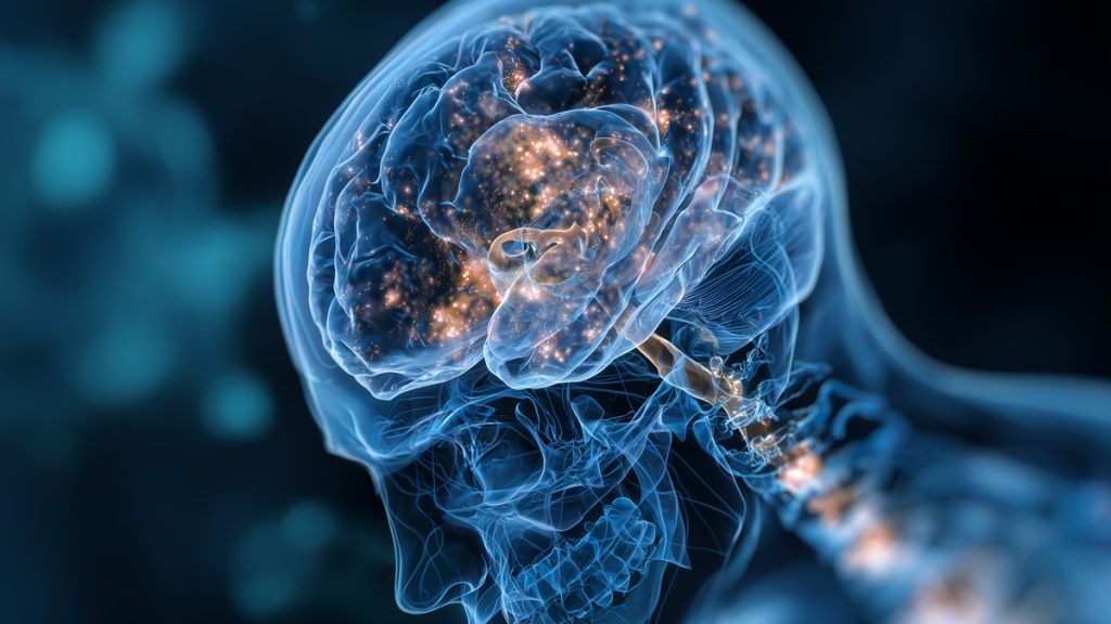 Illustration d'un cerveau humain avec des connexions neuronales illuminées.