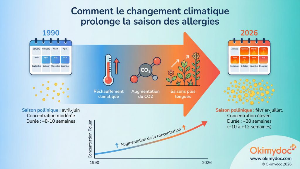 Infographie illustrant l'impact du changement climatique sur la prolongation de la saison des allergies entre 1990 et 2026.