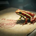 Grenouille colorée sur un dossier classé top secret.