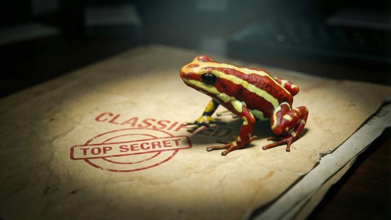 Grenouille colorée sur un dossier classé top secret.