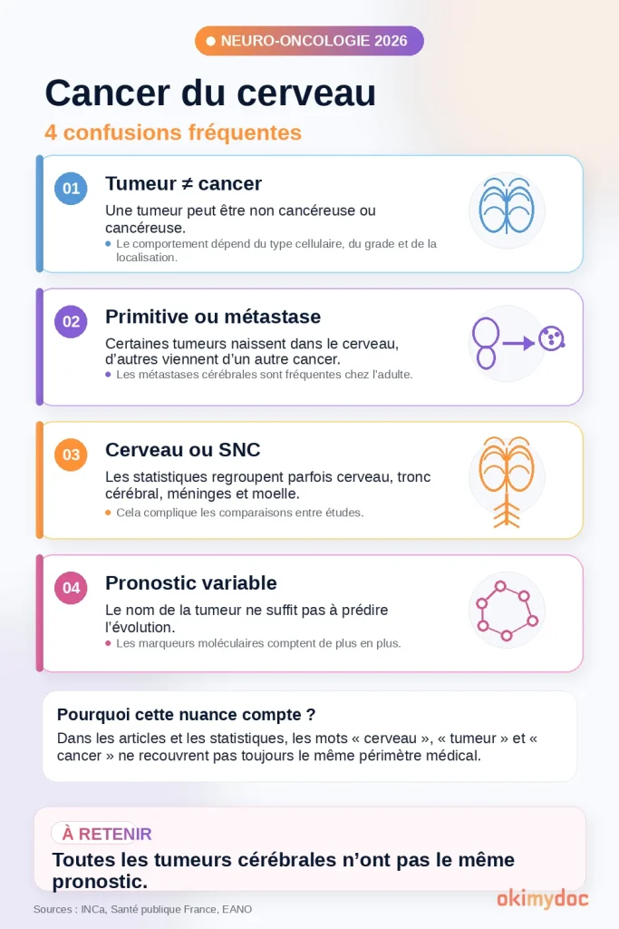 Infographie expliquant quatre confusions fréquentes sur le cancer du cerveau.