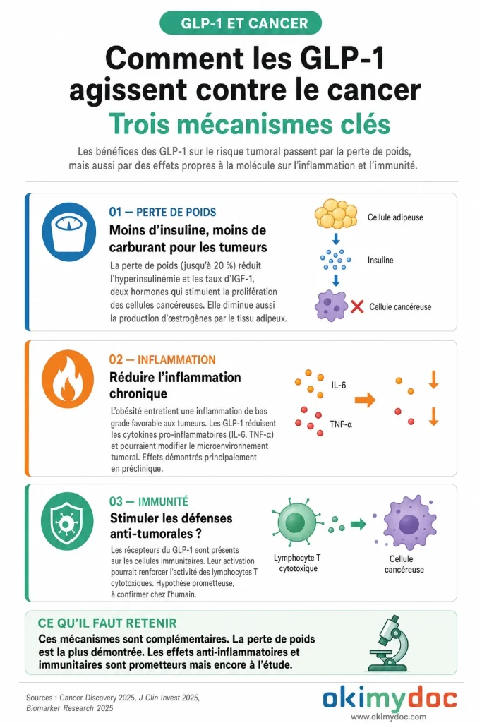 Infographie sur les mécanismes d'action des GLP-1 contre le cancer.