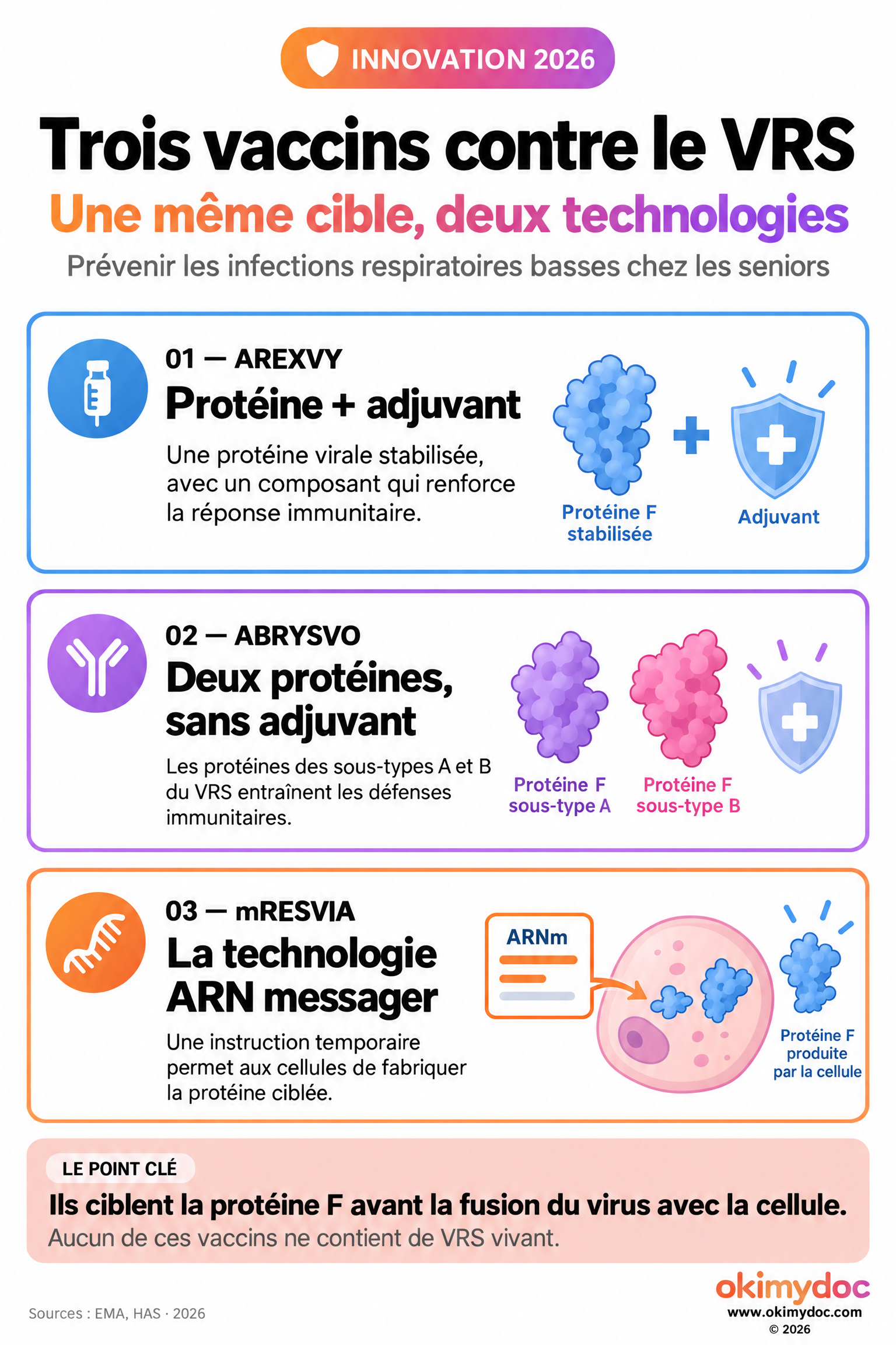 Arexvy contient une protéine avec adjuvant, Abrysvo les protéines des sous-types A et B sans adjuvant, et mRESVIA utilise l’ARN messager. Tous ciblent la protéine F de préfusion.