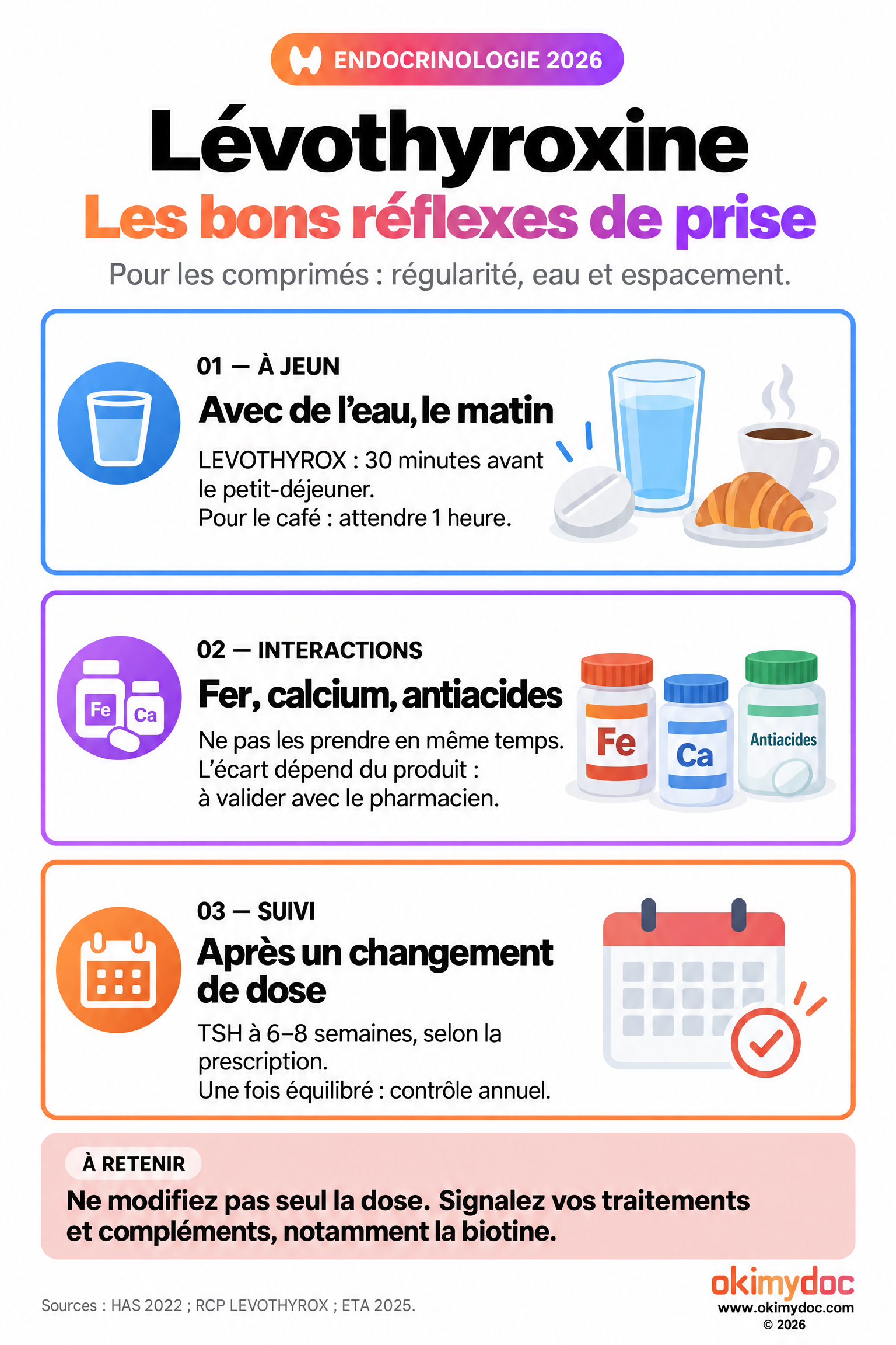Infographie rappelant LEVOTHYROX à jeun avec de l’eau, 30 minutes avant le petit-déjeuner et une heure avant le café, les interactions et le contrôle de TSH à six à huit semaines.
